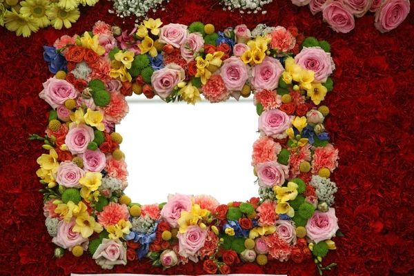 Flower Frame — Stock Photo, Image