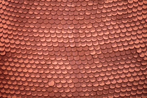 stock image Roof tiles