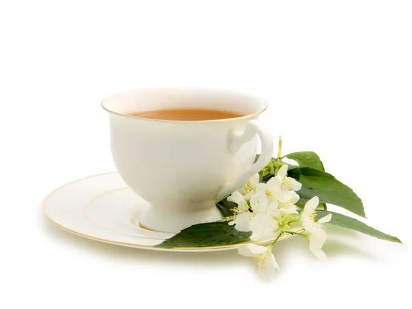 Groene thee met jasmijn — Stockfoto