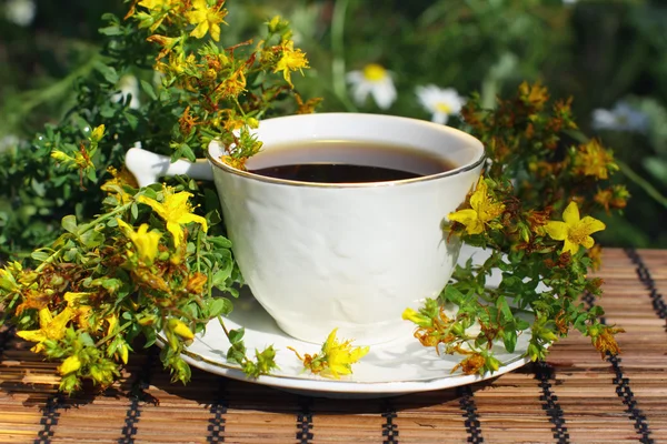 stock image Herbal tea