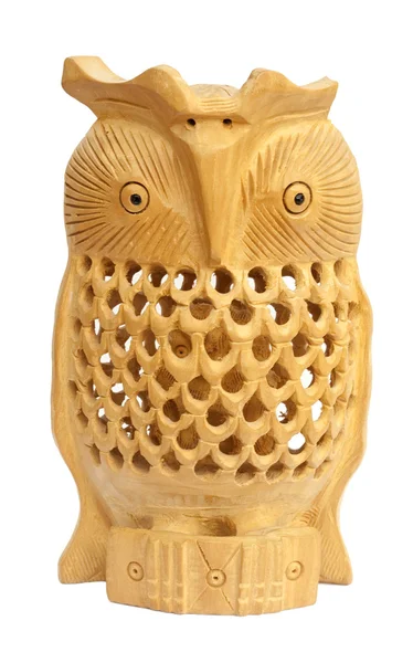 Pregnant owl — Stock Photo, Image