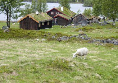 Sheep grazing between mountain cabins clipart