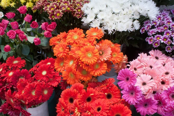 Vielfalt an bunten Blumensträußen — Stockfoto