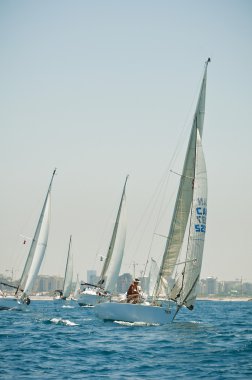 Sails's regatta clipart