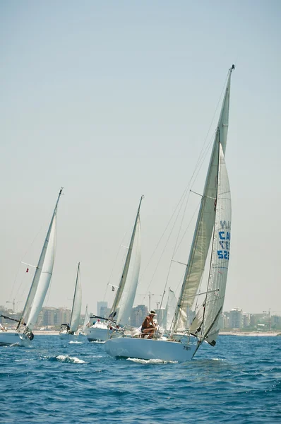 Sails's regatta — Zdjęcie stockowe