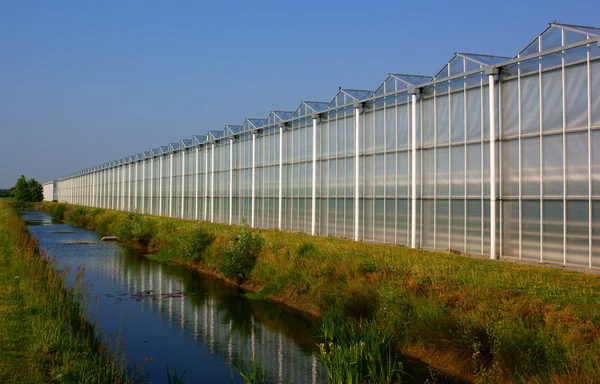 Greenhouse in the netherlands — Stock Photo, Image