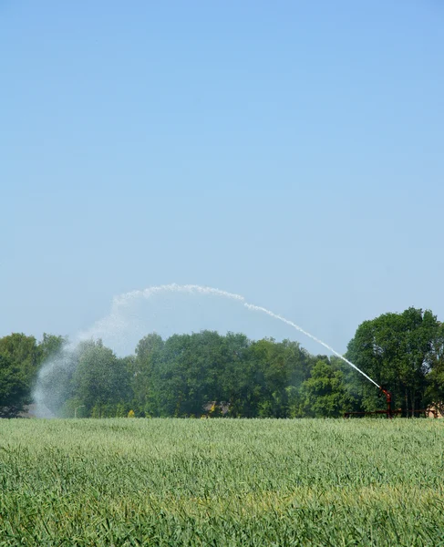 Víz sprinkler, vidéki táj — Stock Fotó