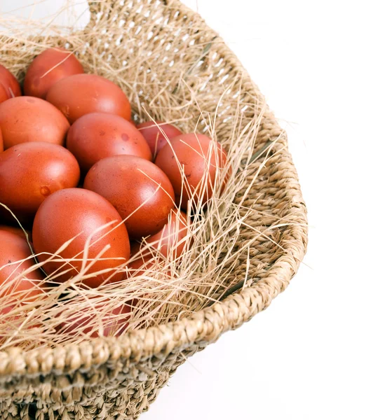 Eggs basket — Stock Photo, Image