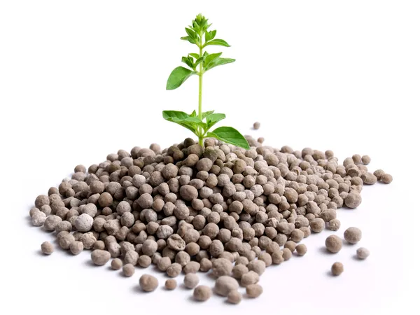 Fertilizante — Fotografia de Stock