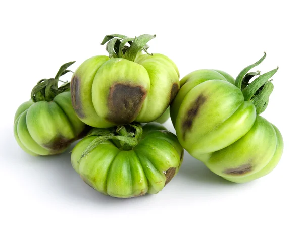 腐烂的绿色蕃茄 — 图库照片