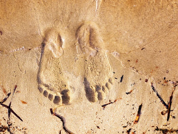 Песчаные ноги — стоковое фото