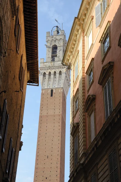 Siena (Siena) — Stok fotoğraf