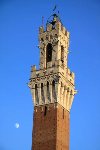 Siena (Siena) ) —  Fotos de Stock