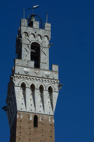 Palazzo comunale (Siena) ) — Foto Stock