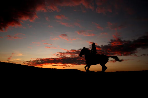 Reiterin bei Sonnenuntergang — Stockfoto