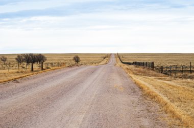 uzun yol ve boş