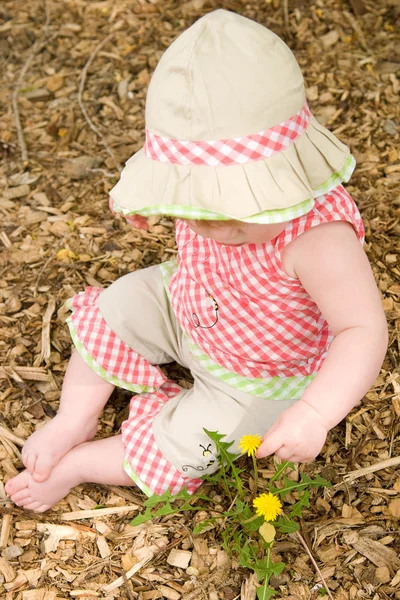 Маленькая девочка играет с одуванчиком — стоковое фото