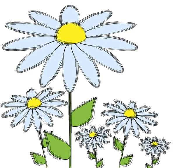 Daisy flower — Stock Vector