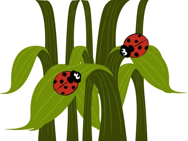 Marienkäferpaar — Stockvektor