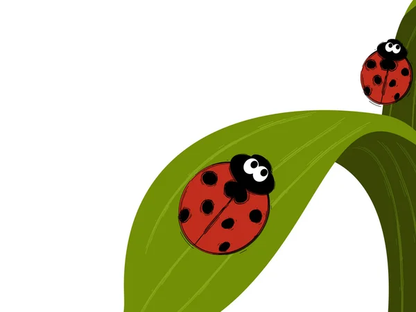 Ladybird couple — Stock Vector