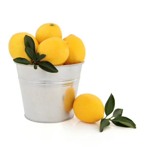 Lemon Fruit — Zdjęcie stockowe