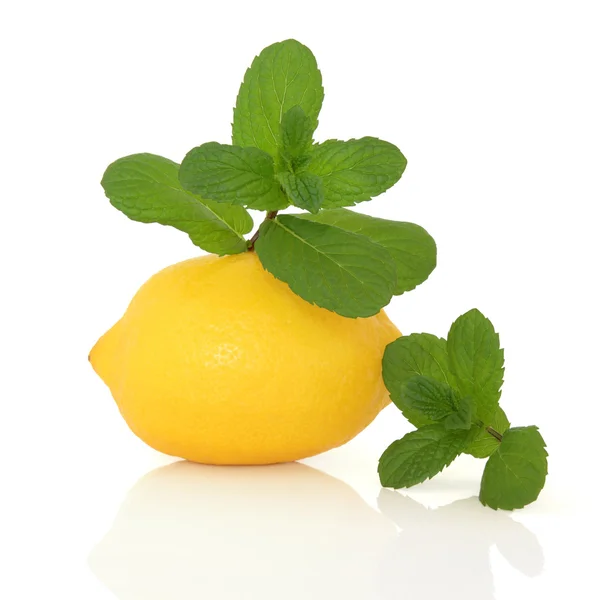 Трава мяты и плоды лимона — стоковое фото