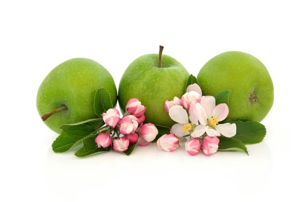 Яблочные фрукты и цветок — стоковое фото