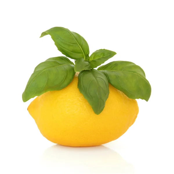 Zitrone und Basilikum — Stockfoto