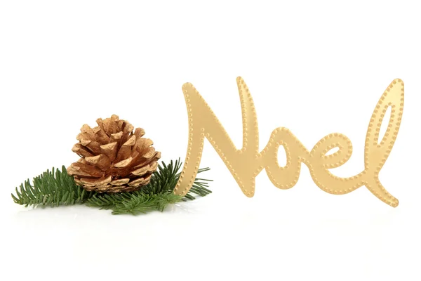 Різдво Noel — стокове фото