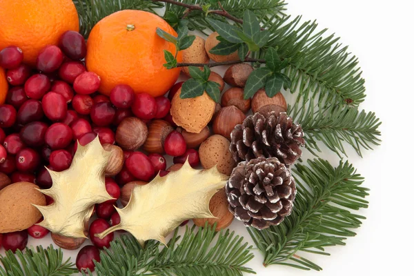 Christmas Fruit, Nuts and Fauna — Stock Photo, Image
