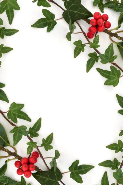 Holly and Ivy Abstract Frame — Stock Photo, Image