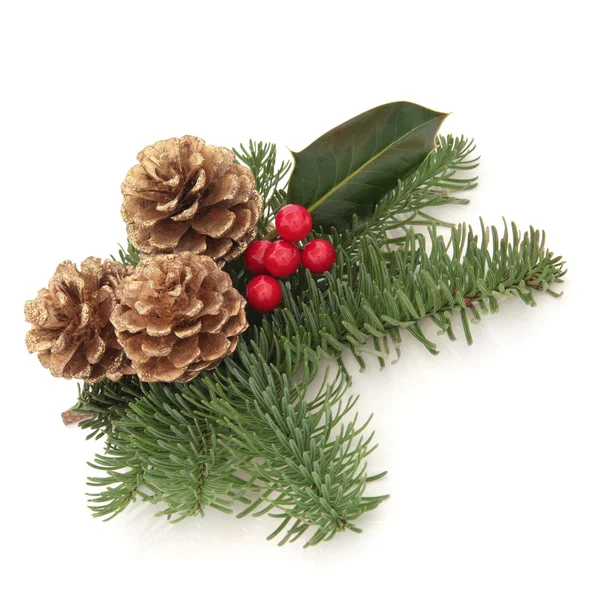 Christmas dekoratif sprey — Stok fotoğraf