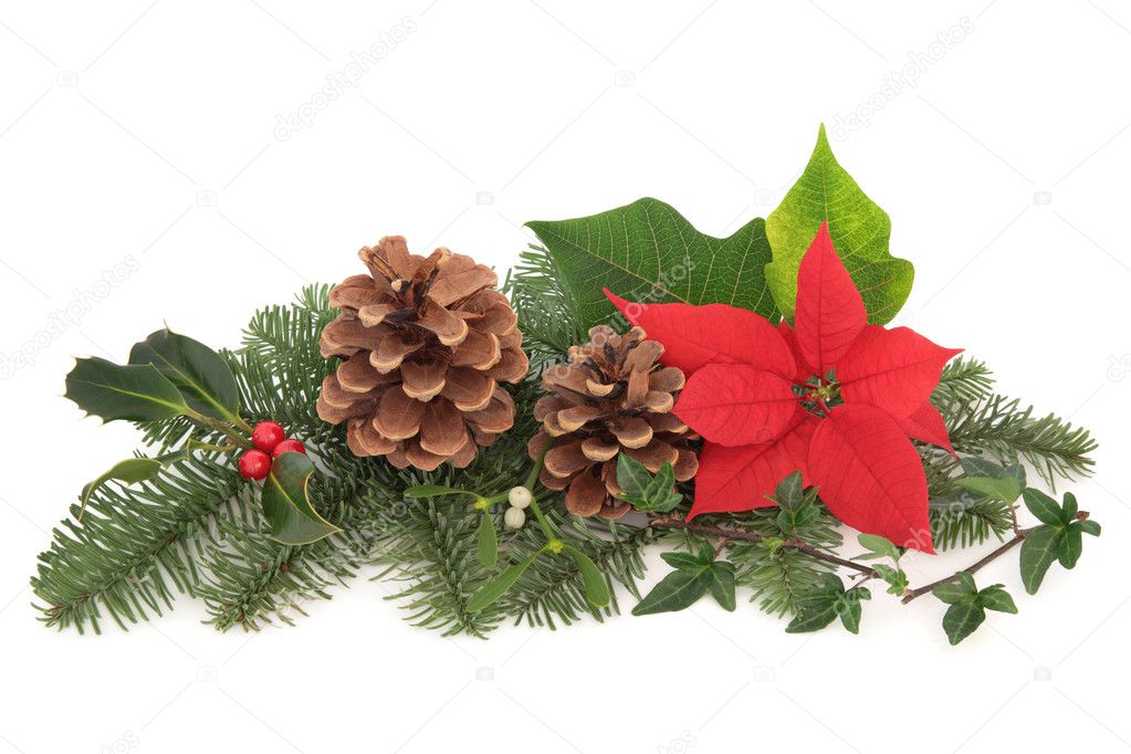 Christmas Flora and Fauna Stock Photo by ©marilyna 6248751