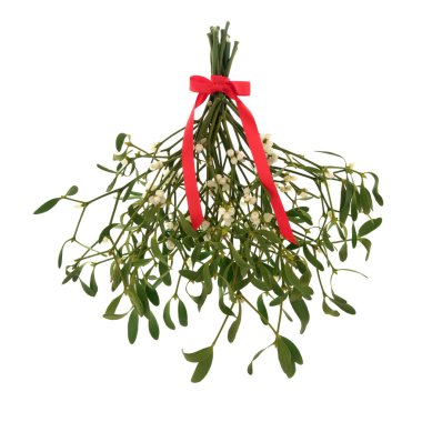 Mistletoe Magic clipart