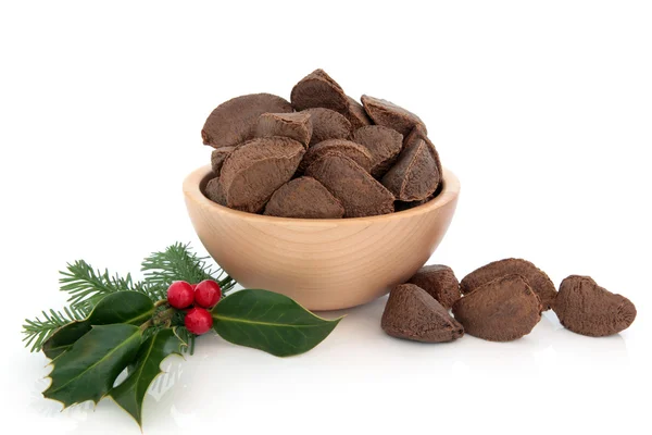 Brazil Nuts and Holly — Stock Photo, Image