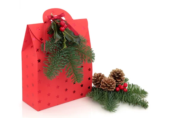 Vánoční dárková taška — Stock fotografie
