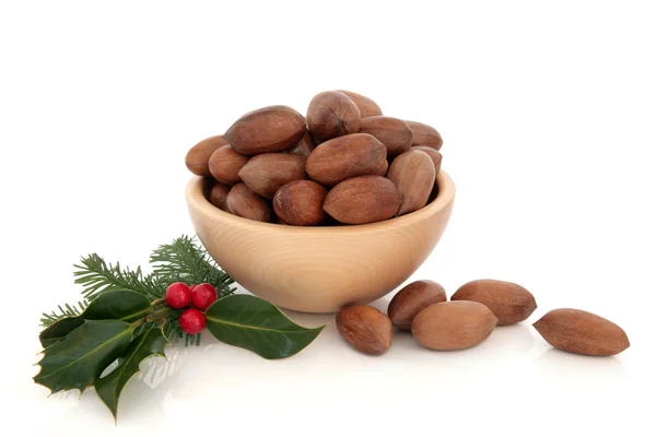 Pecan Nuts and Holly — Stock Photo, Image