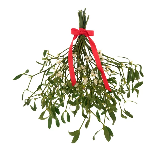 Mistletoe Magic — Stock Photo, Image