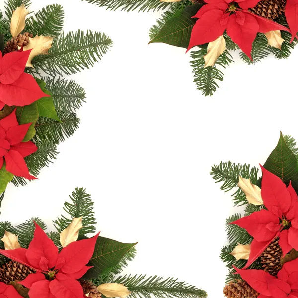 Christmas Decorative Border — Stock Photo, Image