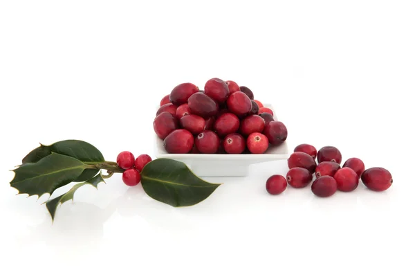 Frutas de arando e Holly — Fotografia de Stock