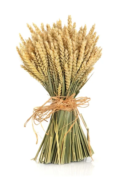 Buğday demeti — Stok fotoğraf