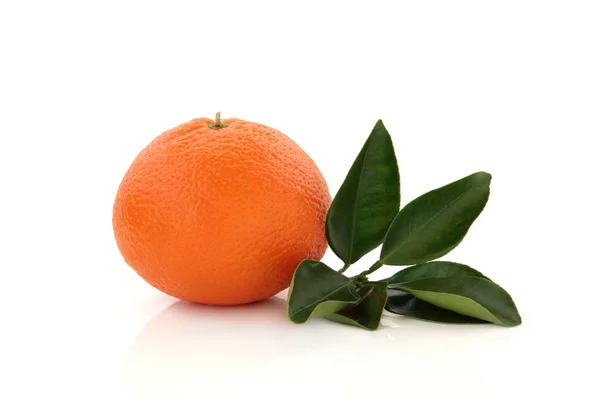Mandarin orange — Stockfoto