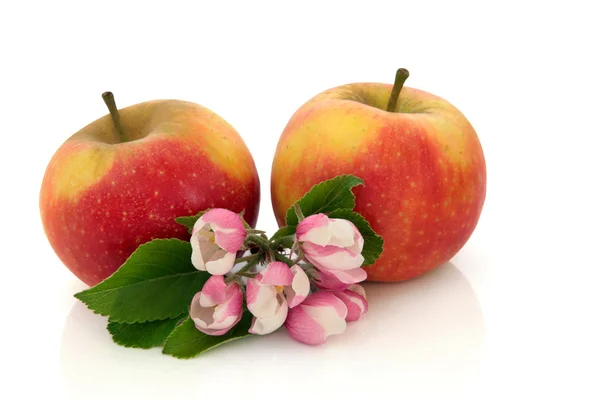 Apple frukt med blomma blomma — Stockfoto