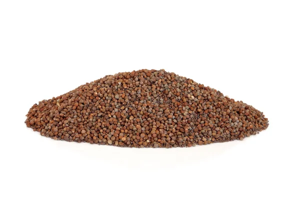 Perilla Seed — Stock Photo, Image