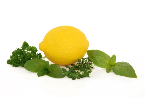 Лимонные фрукты и травы — стоковое фото
