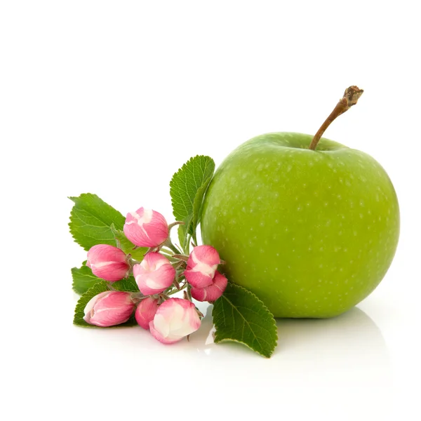 Elma meyve ve çiçek çiçek — Stok fotoğraf