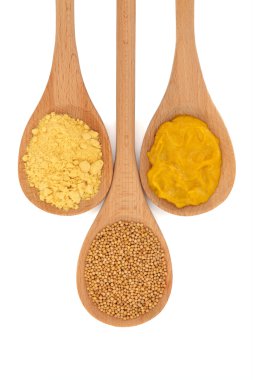 Mustard Selection clipart