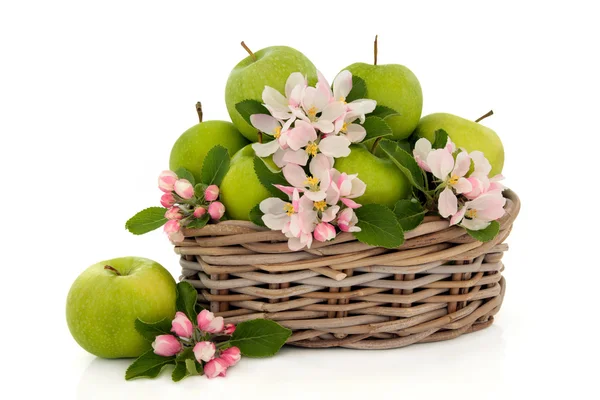 Äppelblom frukt och blomma — Stockfoto