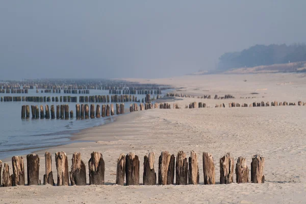 Baltık kıyıları — Stok fotoğraf