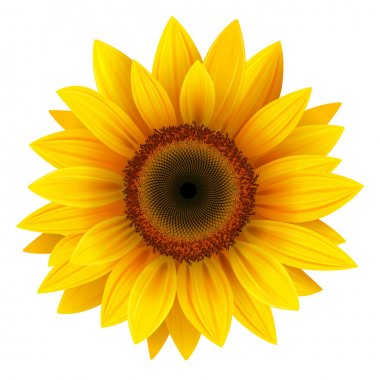 Free Free 89 Sunflower Clipart Svg Free SVG PNG EPS DXF File